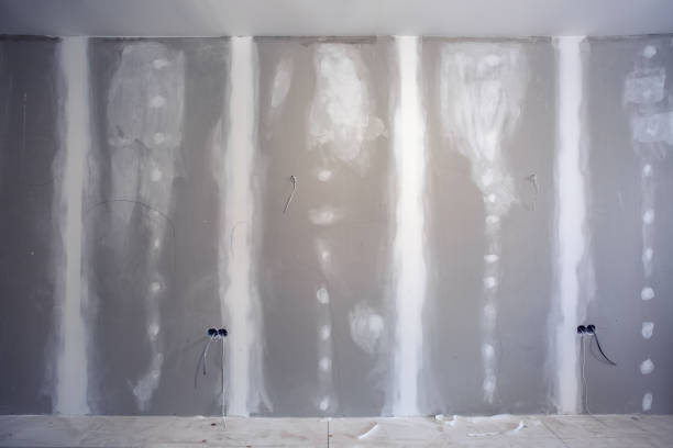 Best Fire-Damaged Drywall Repair  in Danville, VA